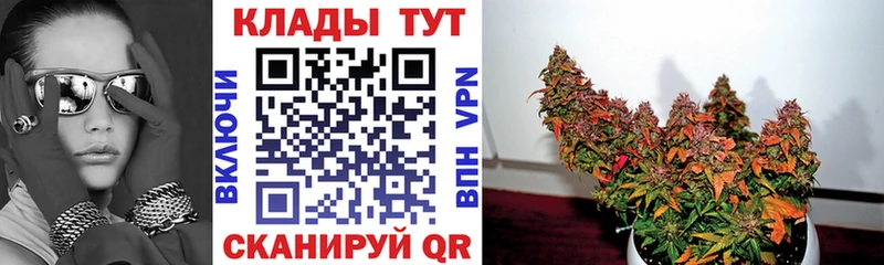Что такое Братск ГАШИШ  МЕФ 