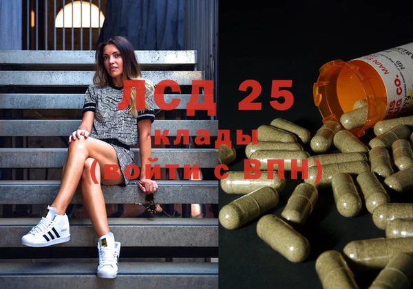 2c-b Пестово