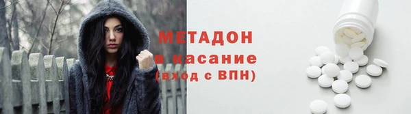 индика Осинники