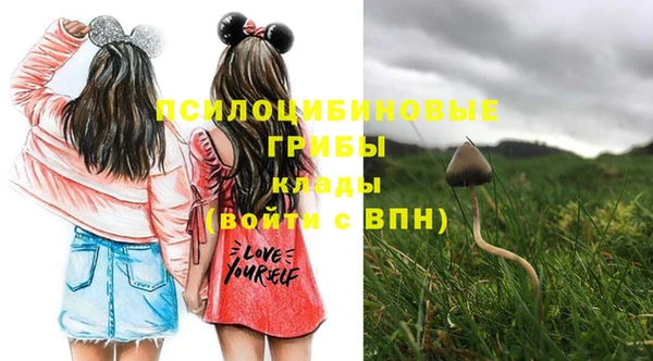 2c-b Пестово