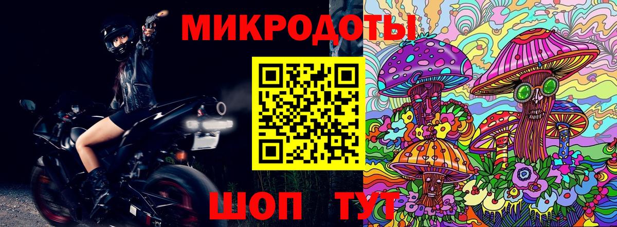 Галлюциногенные грибы мухоморы  Вход с VPN  Галлюциногенные грибы Psilocybe  Братск 