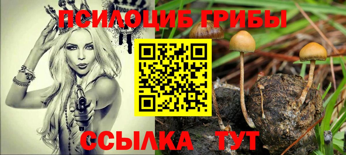 Псилоцибиновые грибы Psilocybe  Галлюциногенные грибы прущие грибы  Братск 