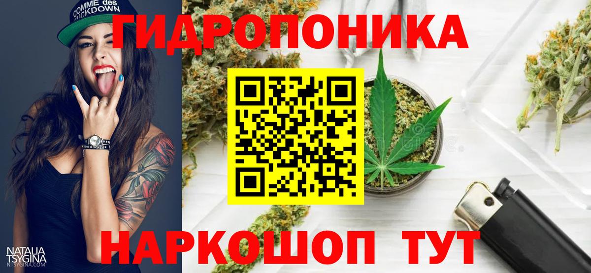 Канабис OG Kush Братск
